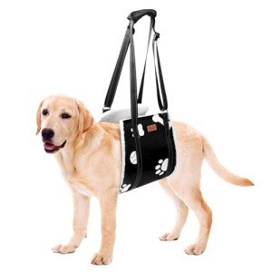 LOOBANI Dog Sling - Support Harness for Large Dogs
