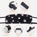 LOOBANI Dog Sling - Support Harness for Large Dogs