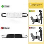 Dog Sling Harness for Back Leg Support