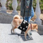 LOOBANI Dog Sling - Support Harness for Large Dogs