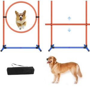 Adjustable Dog Agility Training Equipment Set