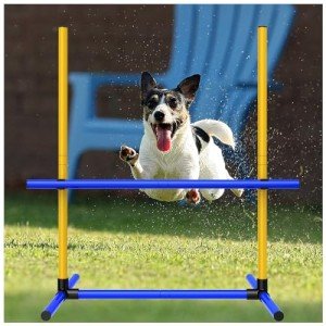 Dog Agility Training Set with Hurdles and Bag