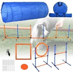 Bebegigi Dog Agility Training Course Set