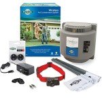 PetSafe Wireless Dog Fence System with Extra Battery