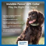GPS Wireless Dog Fence & Tracking Collar for Medium & Large Dogs