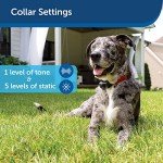 PetSafe Wireless Dog Fence System with Extra Battery