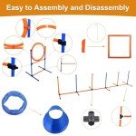 Bebegigi Dog Agility Training Course Set