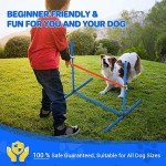 IKARE 4 Piece Dog Agility Training Kit