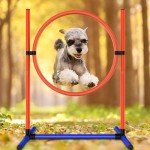 Adjustable Dog Agility Training Equipment Set