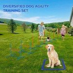 IKARE 4 Piece Dog Agility Training Kit
