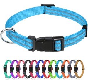 Reflective Nylon Dog Collar for Small Dogs - Sky Blue