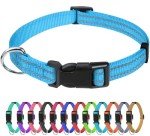 Reflective Nylon Dog Collar for Small Dogs - Sky Blue