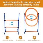 Bebegigi Dog Agility Training Course Set