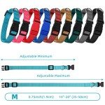 Adjustable Soft Nylon Dog Collar Set for Puppies