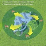 Smart Wireless Dog Fence System with Alarm