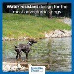 GPS Wireless Dog Fence & Tracking Collar for Medium & Large Dogs