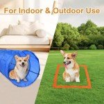 Bebegigi Dog Agility Training Course Set