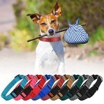 Adjustable Soft Nylon Dog Collar Set for Puppies