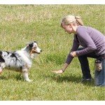 Dog Training Clickers with Wrist Strap - 2 Pack