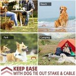 20FT Dog Tie Out Stake & Run Cable