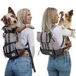 Adjustable Dog Carrier Backpack | K9 Sport Sack