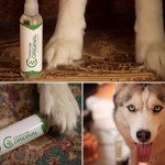 Cedarcide Natural Bug Spray for Pets and Home