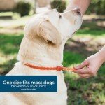 Wondercide Natural Repellent Dog Collar - Small/Medium