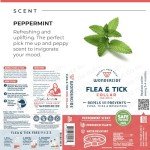 Wondercide Natural Repellent Dog Collar - Small/Medium