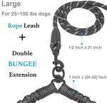 Dual Dog Leash with 360° Swivel & Bungee