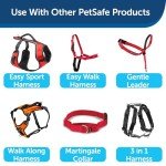 PetSafe Durable Nylon Dog Leash – 6' Red