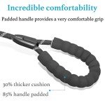 Dual Dog Leash with 360° Swivel & Bungee