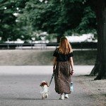 Cibaabo Portable Dog Water Bottle and Food Container