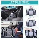 Expandable Soft-Sided Pet Carrier for Travel