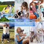 Airline Approved Expandable Soft Pet Carrier