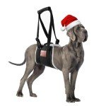Comfort Lift Harness for Large Dogs' Back Legs