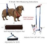 GINGERLEAD Sling Support Harness for Small Dogs