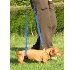 GINGERLEAD Sling Support Harness for Small Dogs