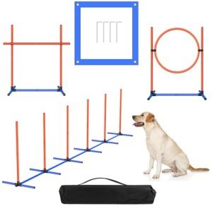 Agility Training Equipment for New Puppies - 4 Sets