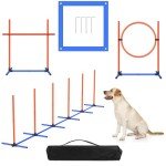 Agility Training Equipment for New Puppies - 4 Sets