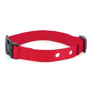 PetSafe 1-Inch Replacement Collar Strap for Dogs