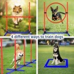 Agility Training Equipment for New Puppies - 4 Sets