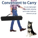 Agility Training Equipment for New Puppies - 4 Sets