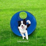 Blue Dog Agility Tunnel with Carry Bag