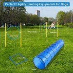 Backyard Dog Agility Course Starter Kit
