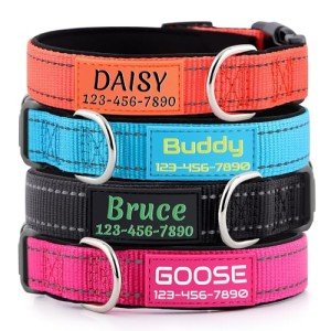 Custom Reflective Dog Collars with Name & Number