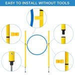 Backyard Dog Agility Course Starter Kit