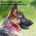 Custom Reflective Dog Collars with Name & Number