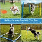 Backyard Dog Agility Course Starter Kit