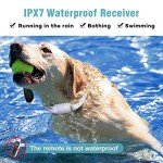 Bousnic Rechargeable Dog Training Collar for 2 Dogs