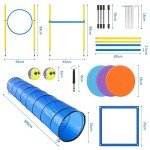 Backyard Dog Agility Course Starter Kit